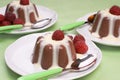Chocolate blancmange Royalty Free Stock Photo
