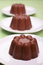 Chocolate blancmange Royalty Free Stock Photo