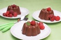 Chocolate blancmange Royalty Free Stock Photo