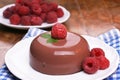 Chocolate blancmange Royalty Free Stock Photo