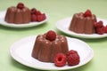 Chocolate blancmange Royalty Free Stock Photo