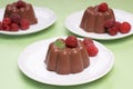 Chocolate blancmange Royalty Free Stock Photo