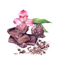 Chocolate block, chocolate candy and pink flower. Watercolor