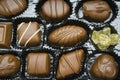 Chocolate bonbon Royalty Free Stock Photo