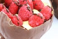 Chocolate Bowl Pudding and Fruit