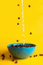 Chocolate breakfast cereals and plant milk poured into the bowl Royalty Free Stock Photo