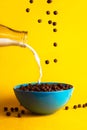 Chocolate breakfast cereals and plant milk poured into the bowl Royalty Free Stock Photo