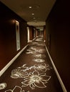 Hallway interior in brown Royalty Free Stock Photo