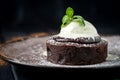 Chocolate brownie with a ball of melting vanilla ice cream, mint, powdered sugar Royalty Free Stock Photo