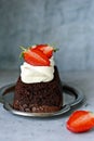 Chocolate brownie cake with airy vanilla cream and fresh strawberries berries. Royalty Free Stock Photo