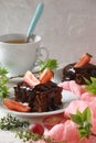 Chocolate brownie cake with fresh strawberries Royalty Free Stock Photo