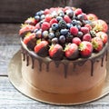 Chocolate brownie cake with fresh summer berries. Decorated with strawberries dipped into melted chocolate. Royalty Free Stock Photo