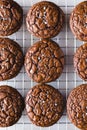 Chocolate brownie cookies on a cookie rack