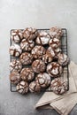 Chocolate brownie cookies in powdered sugar. Chocolate Crinkles Royalty Free Stock Photo