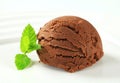 Chocolate brownie ice cream Royalty Free Stock Photo