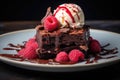 Chocolate brownie with a scoop of ice cream and raspberries Royalty Free Stock Photo