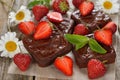 Chocolate brownie with strawberries Royalty Free Stock Photo