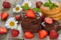 Chocolate brownie with strawberries Royalty Free Stock Photo