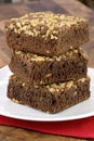 Chocolate brownies with cracked peanuts on top Royalty Free Stock Photo