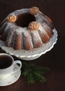 Chocolate bundt cake with icing sugar and coffee cup. Christmas background Royalty Free Stock Photo