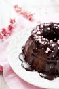 Chocolate bundt cake Royalty Free Stock Photo