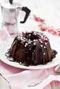 Chocolate bundt cake Royalty Free Stock Photo