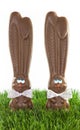 Chocolate Bunnies in Grass