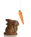 Chocolate bunny with carrot on string