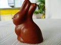 Chocolate Bunny Royalty Free Stock Photo