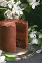 Chocolate cake with apple trees flowers on a dark background, Selective focus