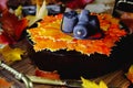 Cake with autumn leaves and the camera