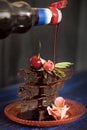 Chocolate cake with berries, decorated with flowers. copy space Royalty Free Stock Photo