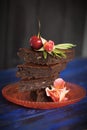 Chocolate cake with berries, decorated with flowers. copy space Royalty Free Stock Photo