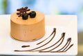 Chocolate cake with buleberry Royalty Free Stock Photo