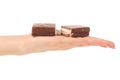 Chocolate cake candy biscuit milk in hand Royalty Free Stock Photo