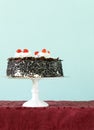 Chocolate cake with cherries and whipped cream Royalty Free Stock Photo