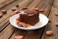 Chocolate cake with cocoa beans and honey Royalty Free Stock Photo