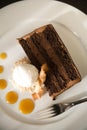 Chocolate Cake and Coconut Ice Cream Royalty Free Stock Photo