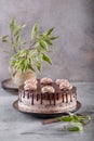 Chocolate cake with roses and filling