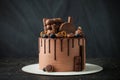 Chocolate cake decorated with blueberries, cookies and bubble chocolates on a black background. Brown cream cheese frosting with