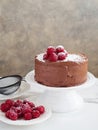 chocolate cake decorated with fresh raspberries and icing sugar.