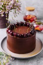 Chocolate cake decorated with sweet cherries Royalty Free Stock Photo