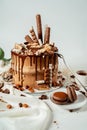 Chocolate cake decorated with various cookies and nuts on a glass plate and macaroons. Food photography. Advertising and