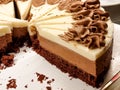 chocolate cake.dessert buffet. assortment of sweets. catering service table. desserts garnished with nuts, jellies and