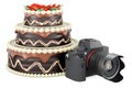 Chocolate Cake with digital camera, 3D rendering