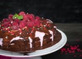 Chocolate cake with fresh berries. Royalty Free Stock Photo