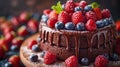 Chocolate cake with fresh berries on dark background, selective focus Royalty Free Stock Photo