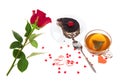 Chocolate cake, hot tea and red rose Royalty Free Stock Photo