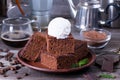 Chocolate cake with ice cream on plate on wood table.