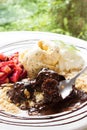 Chocolate cake with icecream. Royalty Free Stock Photo